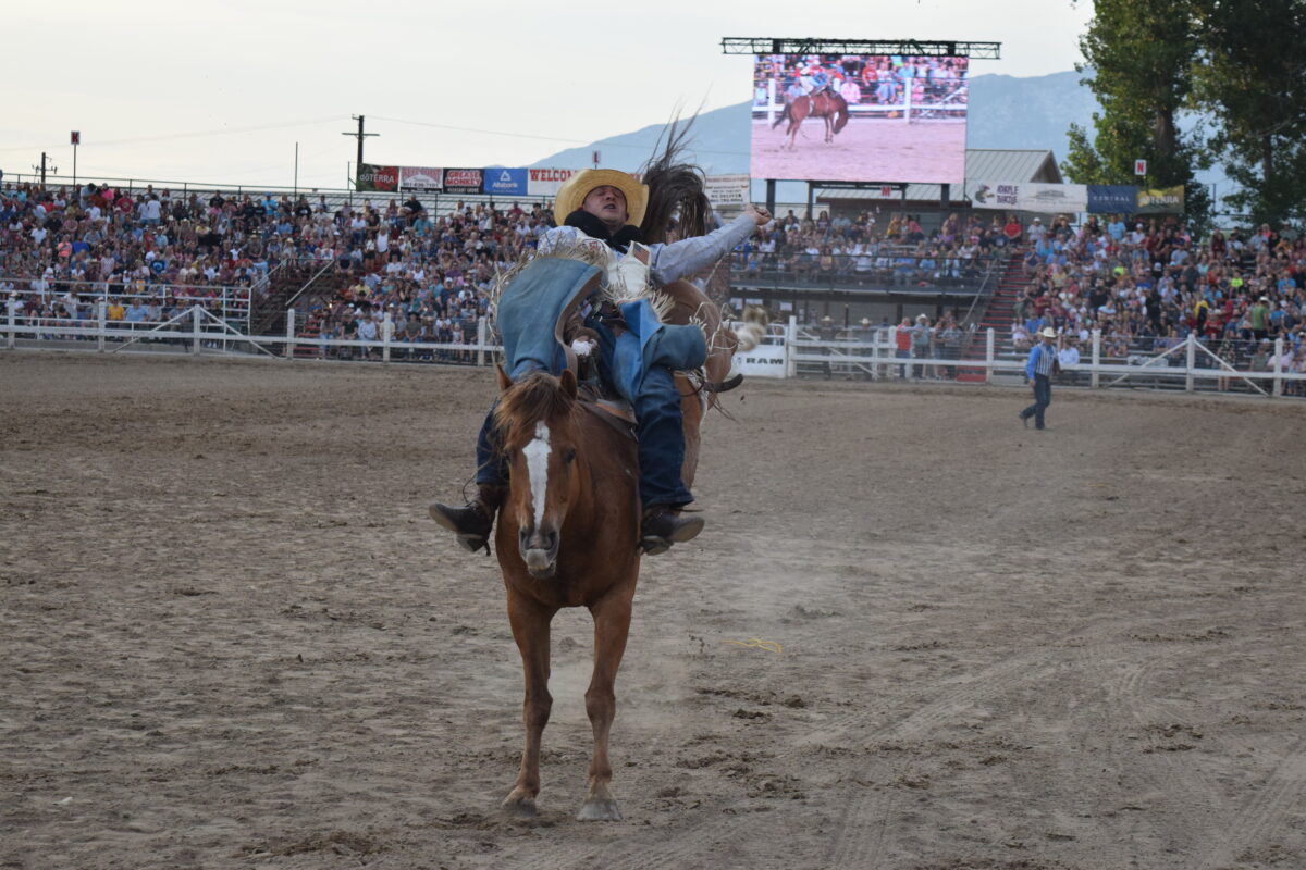 Pleasant Grove celebrates 100 years of Strawberry Days Rodeo | News